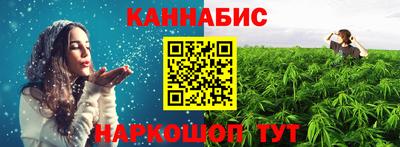 бошки Гатчина