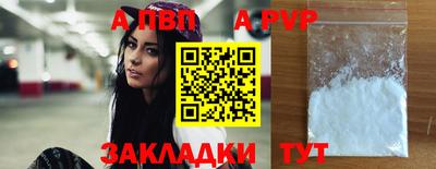 бошки Гатчина