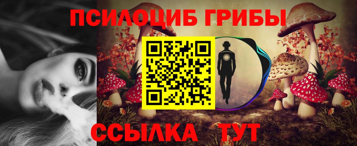 Карабулак  Галлюциногенные грибы MAGIC MUSHROOMS  Галлюциногенные грибы прущие грибы  Вход с VPN 
